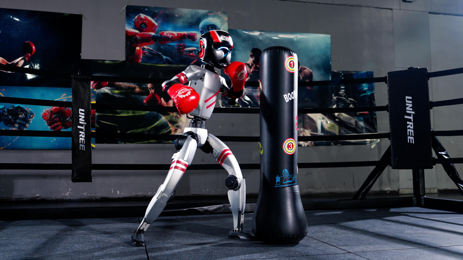 Unitree G1 Boxing Robot